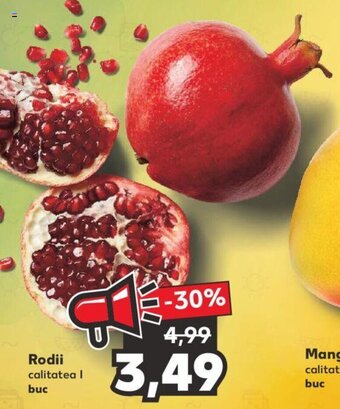 Kaufland Rodii calitatea l buc Ofertă