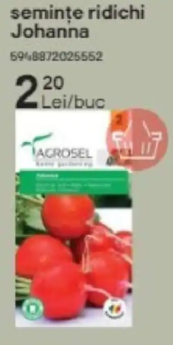 Brico Depôt seminţe ridichi Johanna 5948872025552 Ofertă