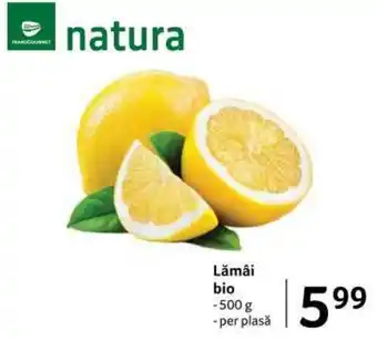 Selgros Lămâi bio 500 g Ofertă