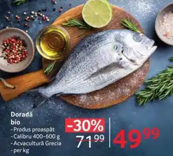 Selgros Doradă bio per kg Ofertă