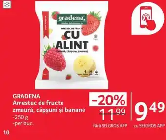 Selgros GRADENA Amestec de fructe zmeură, căpşuni şi banane 250g Ofertă