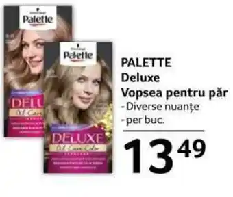 Selgros PALETTE Deluxe Vopsea pentru păr per buc. Ofertă