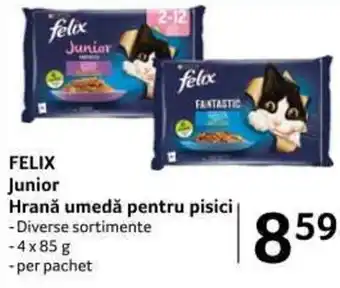 Selgros FELIX Junior Hrană umedă pentru pisici 4x85g Ofertă