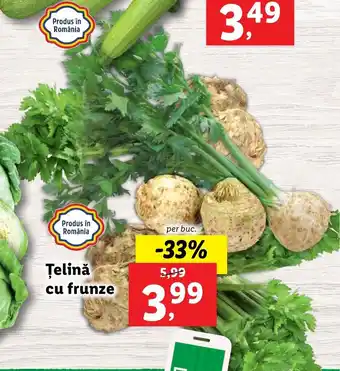PIAȚA Lidl Țelină cu frunze per buc.