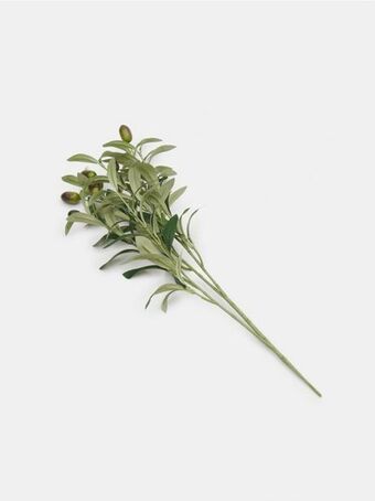 Sinsay Plantă artificială decorativă Ofertă