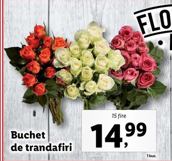 Lidl LIDL FLORĂRIA Buchet de trandafiri 15 fire Ofertă