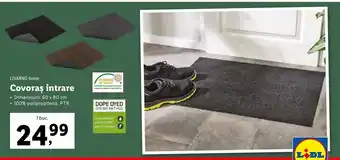 Lidl LIVARNO home Covoraș intrare 60 x 80 cm 1 buc. Ofertă