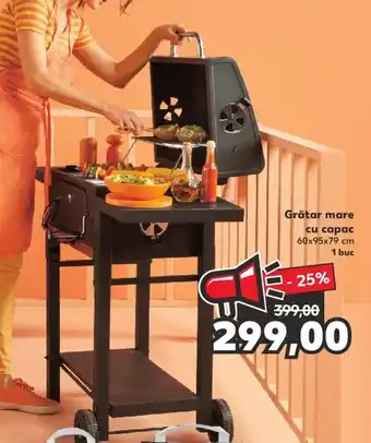 Kaufland Grătar mare cu capac 60x95x79 cm 1 buc Ofertă