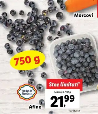 PIAȚA Lidl Afine caserolă 750 g