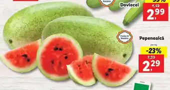Lidl PIAȚA Lidl Pepenoaică per kg Ofertă