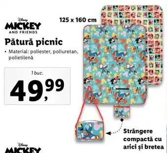 Disney Pătură picnic 1 buc.