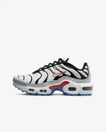 Nike air max plus