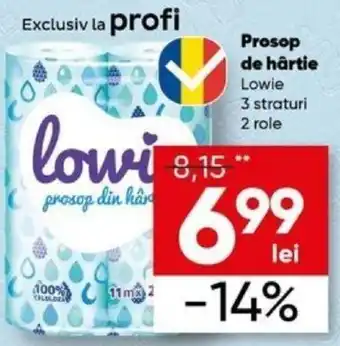 PROFI Prosop de hârtie Lowie 3 straturi 2 role Ofertă