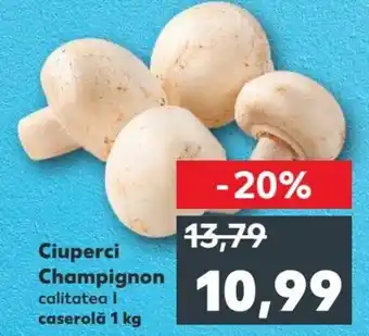 Kaufland Ciuperci Champignon 1kg Ofertă