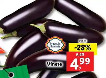 Lidl Vinete 1kg Ofertă