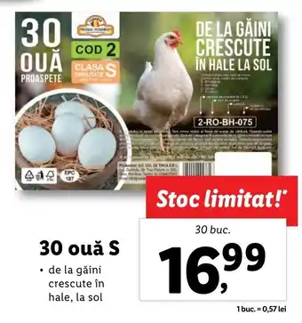 Lidl 30 ouă S 30 buc. Ofertă