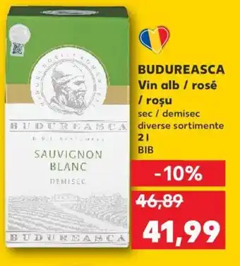 BUDUREASCA Vin alb / rosé / roşu 2l