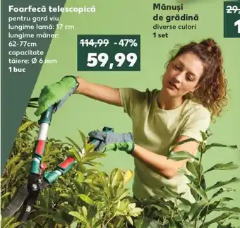 Kaufland PARKSIDE Foarfecă telescopică 1 buc Ofertă