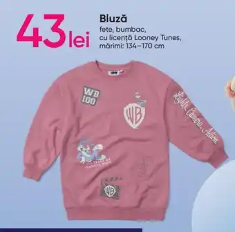 Pepco Bluză Ofertă