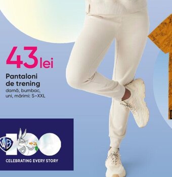 Pantaloni de trening