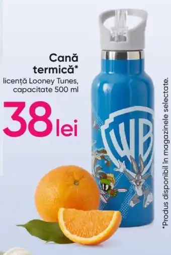 Pepco Cană termică capacitate 500 ml Ofertă