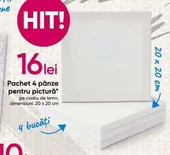 Pepco Pachet 4 pânze pentru pictură 20 x 20cm Ofertă