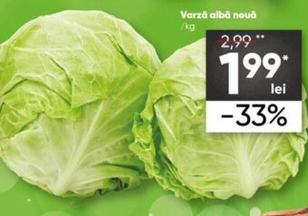 PROFI Varză albă nouă 1 kg Ofertă