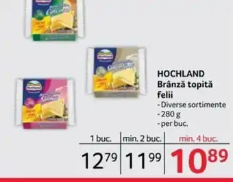 Selgros HOCHLAND Brânză topită felii 280g Ofertă