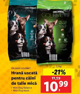 Lidl ORLANDO GOURMET Hrană uscată pentru câini de talie mică 1,5kg Ofertă