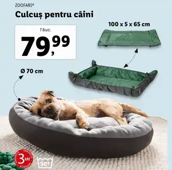 Lidl ZOOFARI, Culcus pentru câini 1 buc. Ofertă