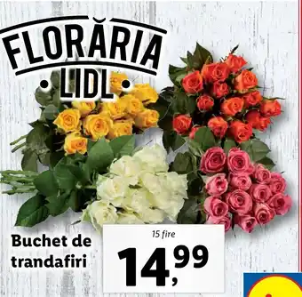 Lidl Buchet de trandafiri 15 fire Ofertă