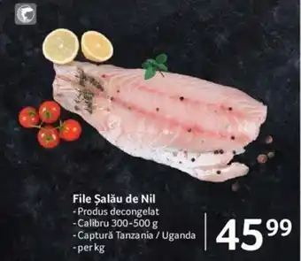Selgros File Șalău de Nil per kg Ofertă
