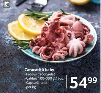 Selgros Caracatiţă baby per kg Ofertă