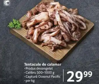 Selgros Tentacule de calamar per kg Ofertă