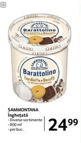 Selgros SAMMONTANA îngheţată 800ml Ofertă