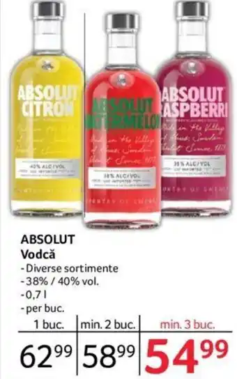 Selgros ABSOLUT Vodcă 0,7L Ofertă