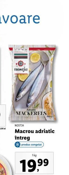 Lidl NOSTJA Macrou adriatic întreg 1kg Ofertă