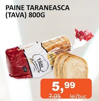 Unicarm PAINE TARANEASCA (TAVA) 800G Ofertă