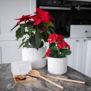 Ghivece de flori din ceramică, set de 2, alb mat, kelso