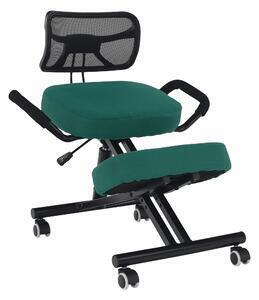 Favi Fotoliu ergonomic de birou rusu (verde + negru). 1040158 Ofertă