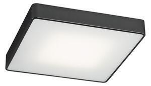 Favi Argon 1577 - plafoniera ontario 4xe27/15w/230v Ofertă