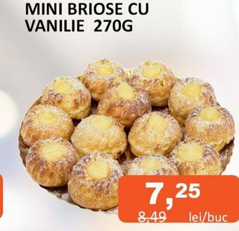 MINI BRIOSE CU VANILIE 270G