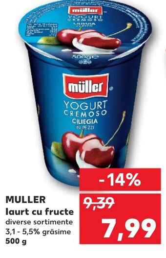 Kaufland MULLER laurt cu fructe Ofertă