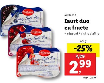 Lidl Iaurt duo cu fructe Ofertă