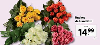Lidl Buchet de trandafiri Ofertă