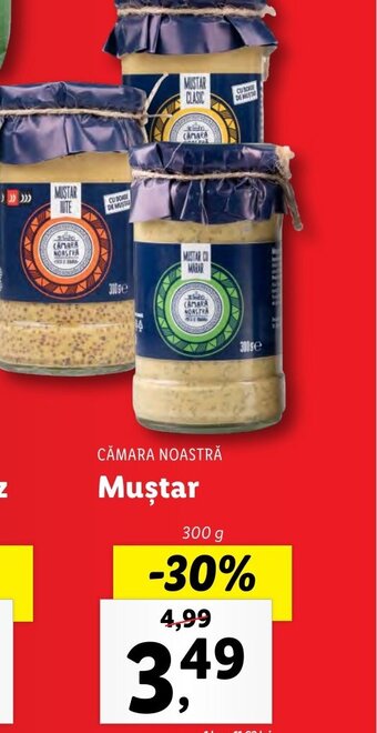 Lidl Muştar Ofertă