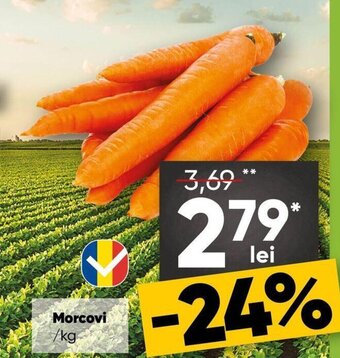 Morcovi /kg