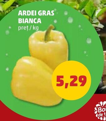 Penny ARDEI GRAS BIANCA Ofertă