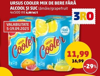 Penny URSUS COOLER MIX DE BERE FĂRĂ ALCOOL ȘI SUC Ofertă