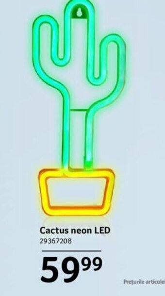 Cactus neon LED